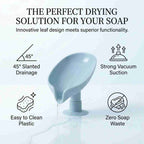 Self-Draining Leaf Soap Holder - Pack of 2